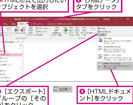 AccessのフォームをHTMLで表示 3 accesse381aee38395e382a9e383bce383a0e38292htmle381a7e8a1a8e7a4ba