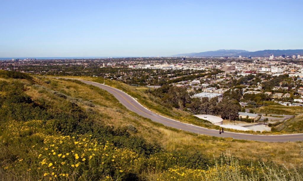 culver city e381aee5a5bde7ab8be59cb0efbc81e382a2e382afe382bbe382b9e68a9ce7bea4e381aae382a2e38391e383bce38388e68385e5a0b1