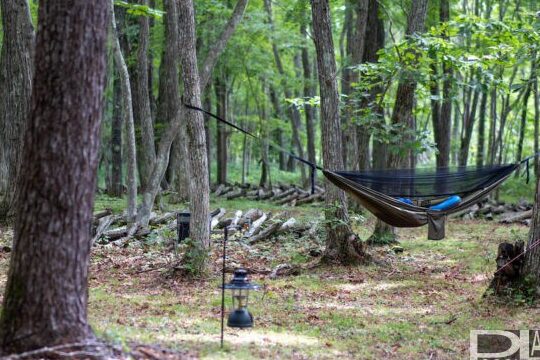 キャンプ場「Tree Access」で自然を満喫!アクセス情報&施設紹介 9 e382ade383a3e383b3e38397e5a0b4e3808ctree accesse3808de381a7e887aae784b6e38292e6ba80e596abefbc81e382a2e382afe382bbe382b9e68385e5a0b1efbc86