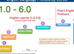 wida accesse381a8e381afefbc9fe88bb1e8aa9ee5ada6e7bf92e88085e59091e38191e38386e382b9e38388